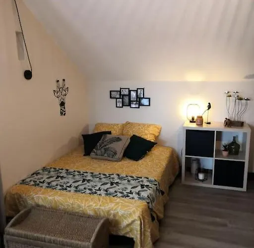 Proche Zoo De Appartement